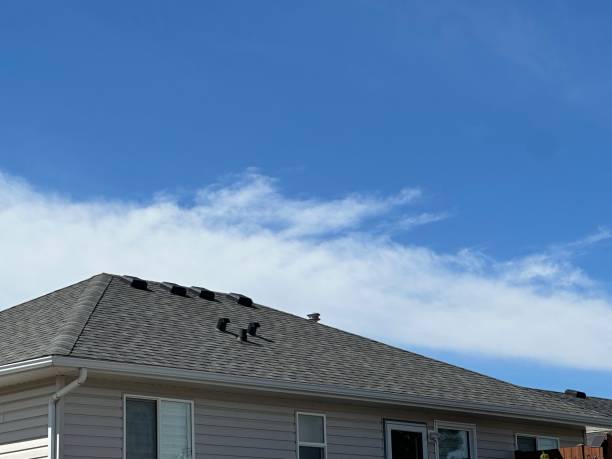 Skylights in Kingston, IL